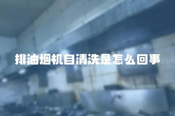 排油煙機自清洗是怎么回事