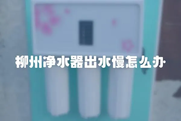 柳州凈水器出水慢怎么辦