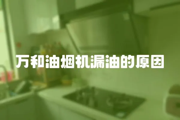 萬和油煙機漏油的原因