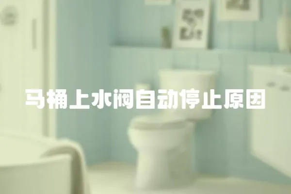 馬桶上水閥自動停止原因