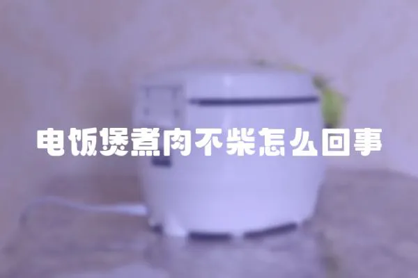 電飯煲煮肉不柴怎么回事