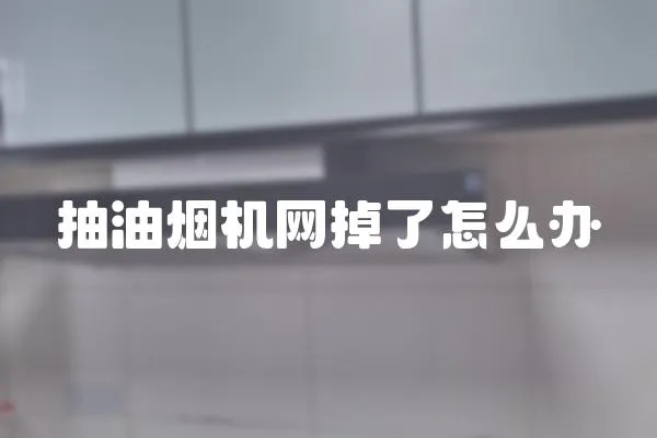 抽油煙機網(wǎng)掉了怎么辦