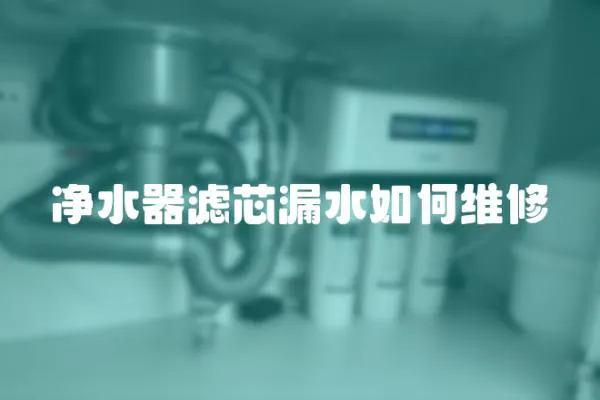 凈水器濾芯漏水如何維修
