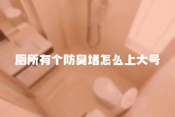 廁所有個(gè)防臭堵怎么上大號(hào)