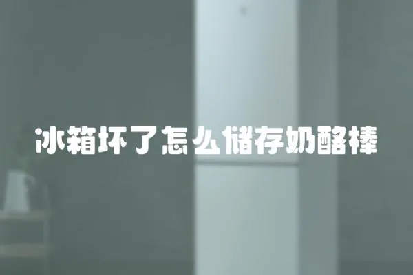 冰箱壞了怎么儲存奶酪棒