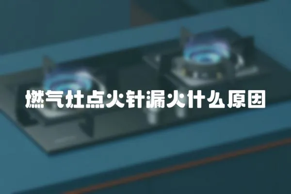 燃氣灶點火針漏火什么原因