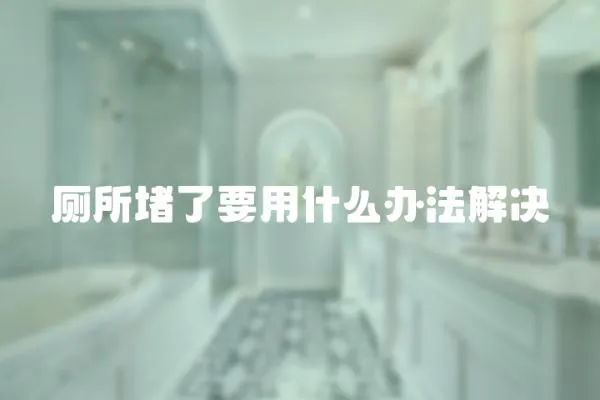 廁所堵了要用什么辦法解決