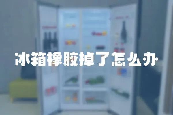 冰箱橡膠掉了怎么辦