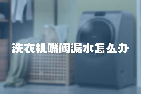 洗衣機嘴閥漏水怎么辦