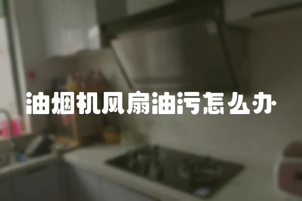 油煙機(jī)風(fēng)扇油污怎么辦