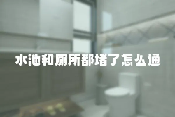 水池和廁所都堵了怎么通