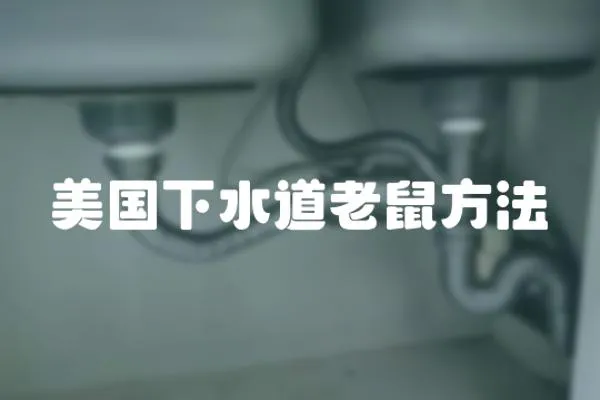 美國下水道老鼠方法
