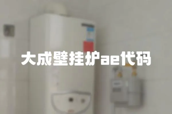 大成壁掛爐ae代碼