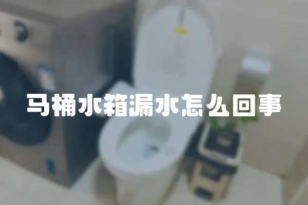 馬桶水箱漏水怎么回事