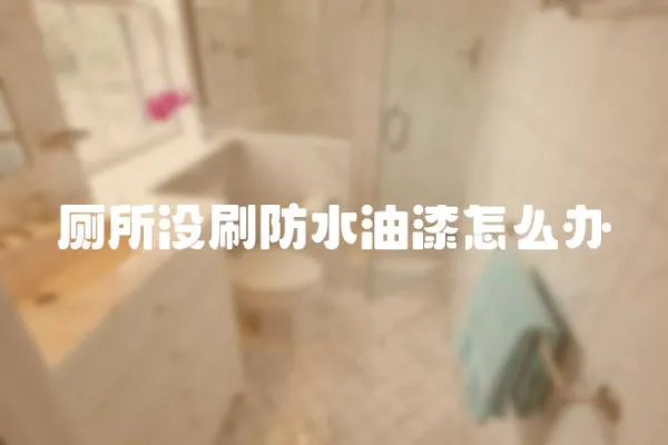 廁所沒(méi)刷防水油漆怎么辦