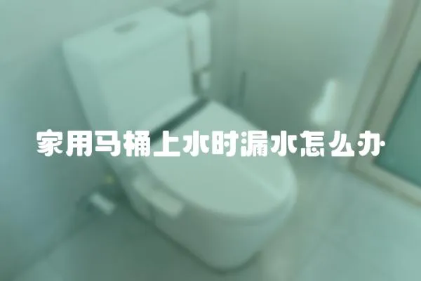 家用馬桶上水時漏水怎么辦