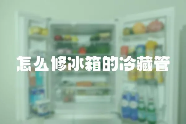 怎么修冰箱的冷藏管
