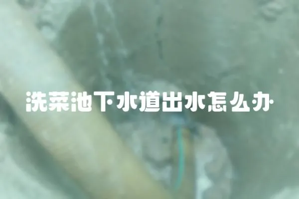 洗菜池下水道出水怎么辦