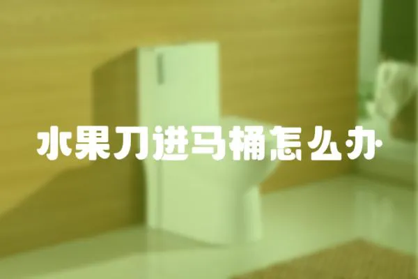 水果刀進馬桶怎么辦