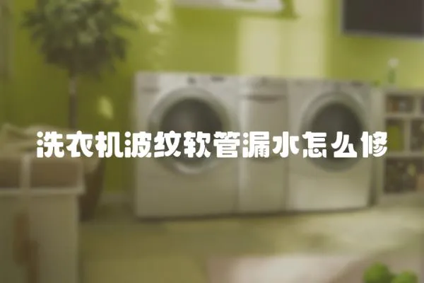 洗衣機波紋軟管漏水怎么修