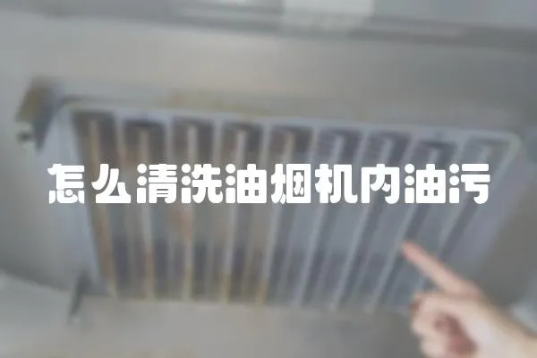 怎么清洗油煙機內油污