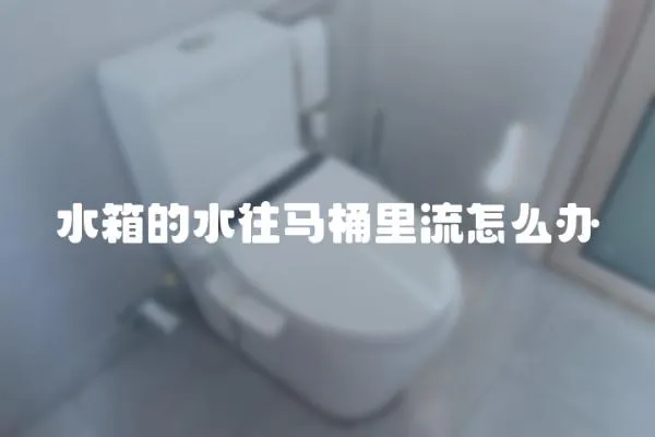 水箱的水往馬桶里流怎么辦
