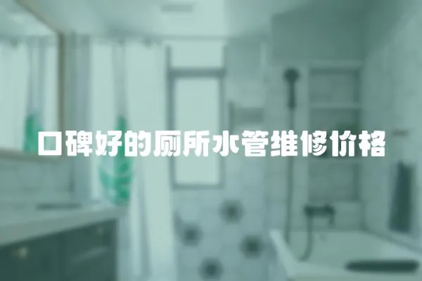 口碑好的廁所水管維修價(jià)格