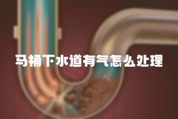 馬桶下水道有氣怎么處理
