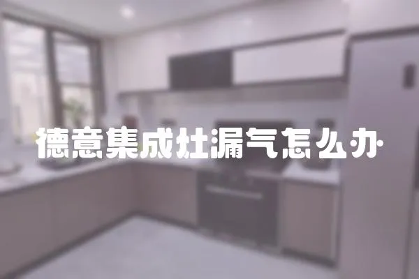 德意集成灶漏氣怎么辦