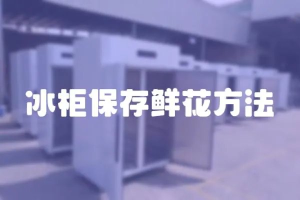 冰柜保存鮮花方法