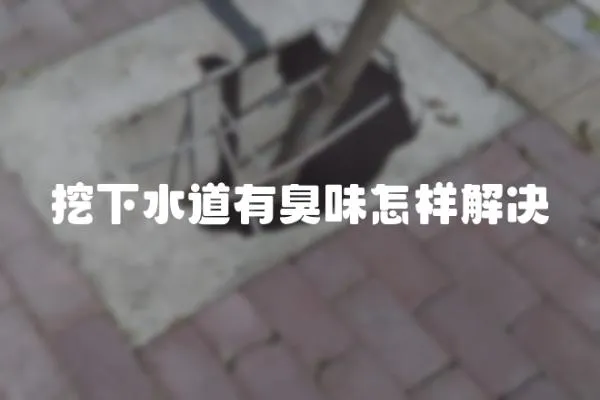 挖下水道有臭味怎樣解決