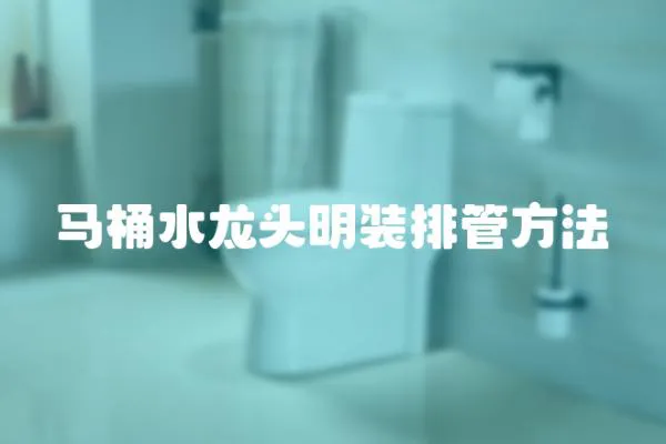 馬桶水龍頭明裝排管方法