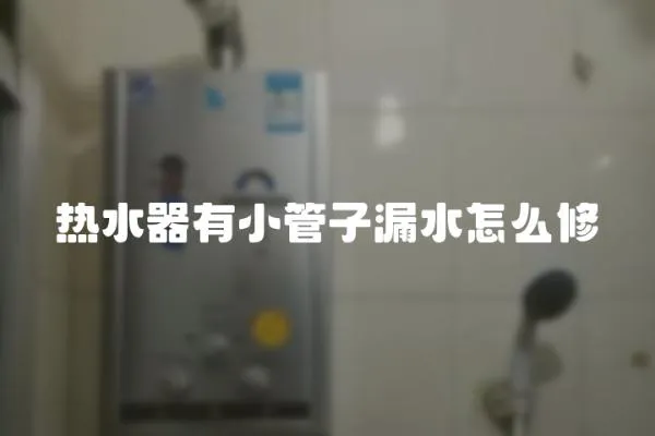熱水器有小管子漏水怎么修