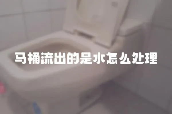 馬桶流出的是水怎么處理