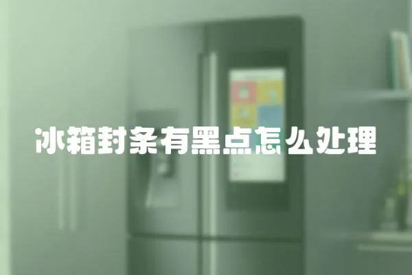 冰箱封條有黑點怎么處理