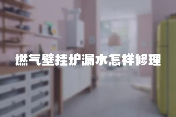 燃?xì)獗趻鞝t漏水怎樣修理