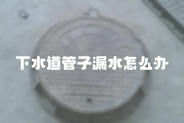 下水道管子漏水怎么辦