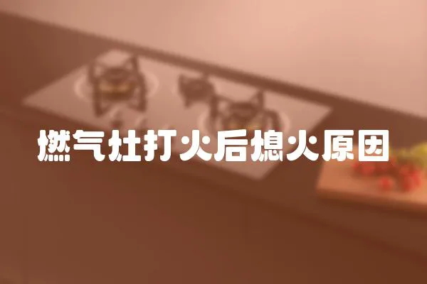 燃?xì)庠畲蚧鸷笙ɑ鹪?></a></div>
                    <div   id=