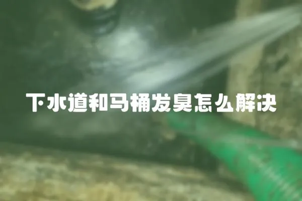 下水道和馬桶發臭怎么解決