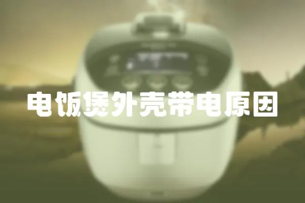電飯煲外殼帶電原因