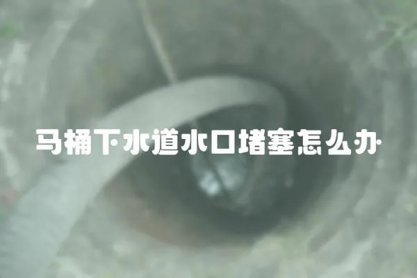馬桶下水道水口堵塞怎么辦