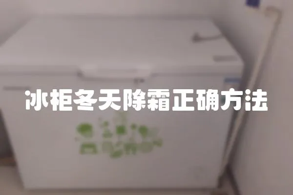 冰柜冬天除霜正確方法