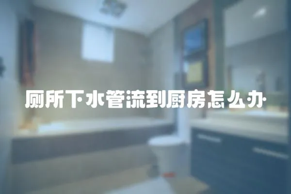 廁所下水管流到廚房怎么辦