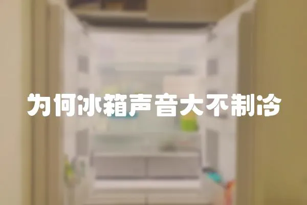 為何冰箱聲音大不制冷