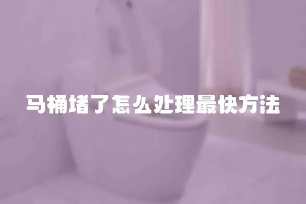 馬桶堵了怎么處理最快方法