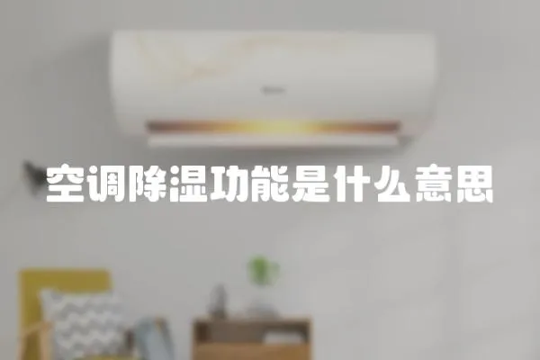 空調除濕功能是什么意思