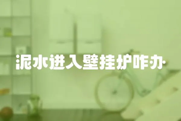 泥水進入壁掛爐咋辦