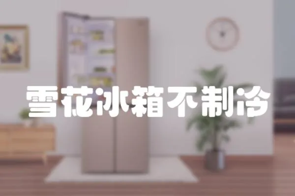雪花冰箱不制冷