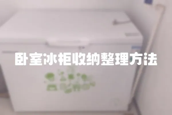 臥室冰柜收納整理方法