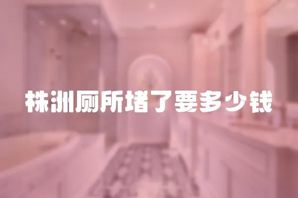 株洲廁所堵了要多少錢